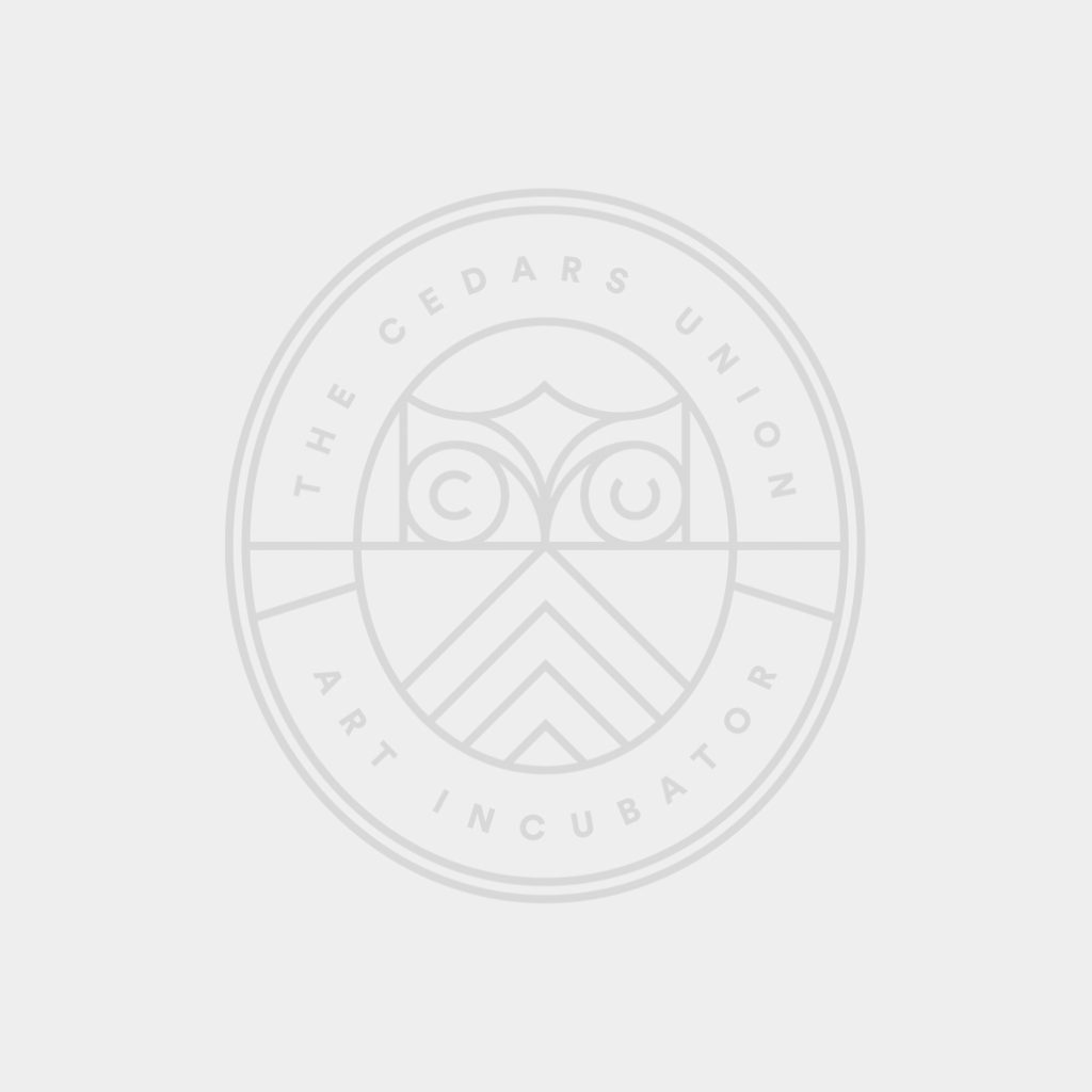 Risograph Printing w/ Bestu Friendo